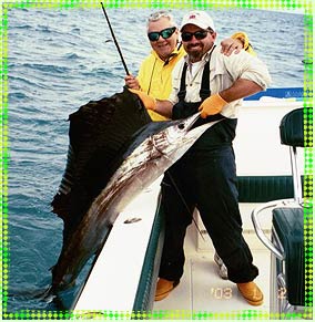 key west sailfish fishing charters